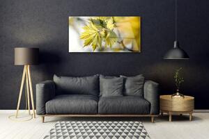 Akrylový obraz Listy Rostlina 100x50 cm
