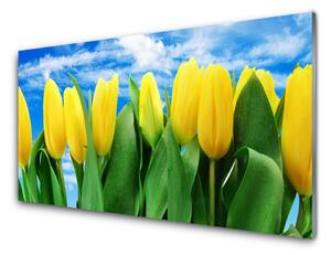 Kuchyňský skleněný panel Tulipány Květiny 100x50 cm