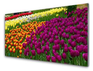 Kuchyňský skleněný panel Tulipány Květiny 140x70cm