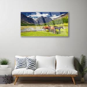 Plexisklo-obraz Hory Stromy Koně Zvířata 100x50 cm