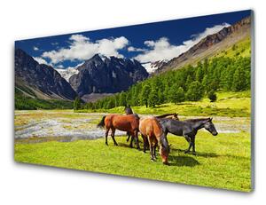Plexisklo-obraz Hory Stromy Koně Zvířata 100x50cm
