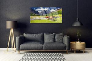 Plexisklo-obraz Hory Stromy Koně Zvířata 100x50 cm