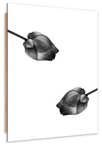 Obraz Dvě šedé květiny Velikost: 40 x 60 cm, Provedení: Panelový obraz