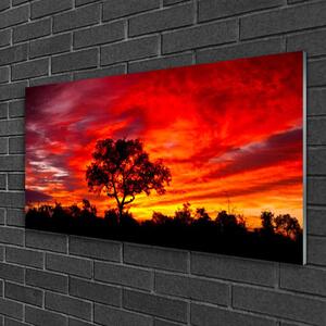 Obraz na skle Les Krajina Příroda 125x50 cm