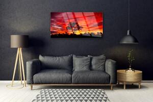 Obraz na skle Les Krajina Příroda 100x50 cm