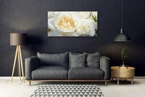 Akrylový obraz Růže Květiny 100x50 cm