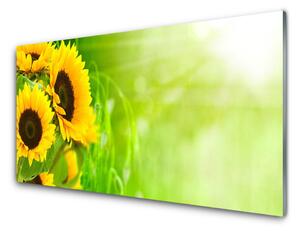 Kuchyňský skleněný panel Slunečníce Rostlina 100x50 cm