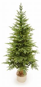 Smrk Bavorský na kmeni 3D-190cm