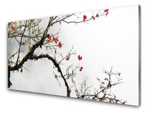 Kuchyňský skleněný panel Větev Příroda Rostlina 120x60 cm