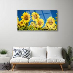 Obraz na skle Slunečníce Rostlina 120x60 cm