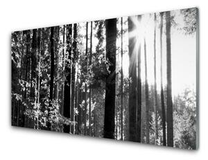 Akrylový obraz Les Příroda 100x50 cm