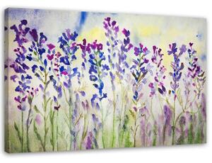 Obraz Fialové květy na louce Velikost: 120 x 80 cm, Provedení: Obraz na plátně