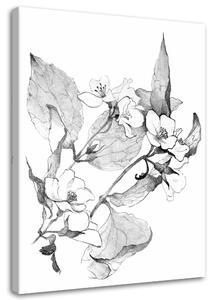 Obraz na plátně Kvetoucí větvičky Rozměry: 40 x 60 cm