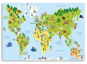 Obraz na plátně Vzdělávací mapa Rozměry: 60 x 40 cm