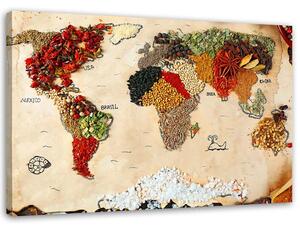 Obraz na plátně Mapa světa s kořením Rozměry: 60 x 40 cm