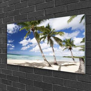 Obraz na skle Moře Pláž Palma Krajina 100x50 cm