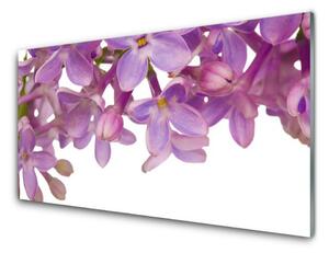 Kuchyňský skleněný panel Květiny Rostlina 120x60 cm