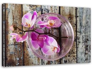Obraz na plátně Orchidej na pozadí prken Rozměry: 60 x 40 cm
