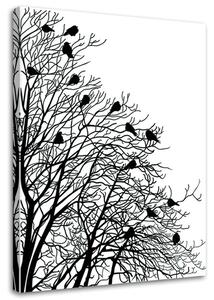 Obraz na plátně Ptáci na větvích Rozměry: 40 x 60 cm