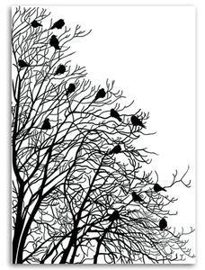 Obraz na plátně Ptáci na větvích Rozměry: 40 x 60 cm