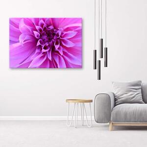 Obraz na plátně Fialová květina Rozměry: 60 x 40 cm