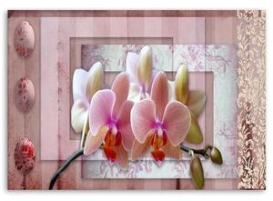 Obraz Růžová vintage orchidej Velikost: 100 x 70 cm, Provedení: Obraz na plátně