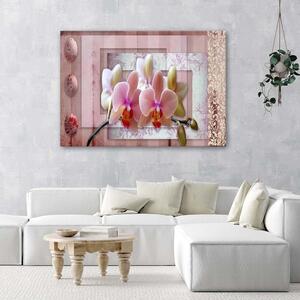Obraz Růžová vintage orchidej Velikost: 100 x 70 cm, Provedení: Obraz na plátně