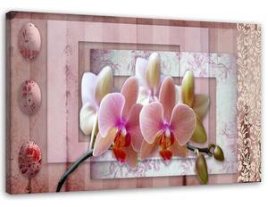Gario Obraz Růžová vintage orchidej Velikost: 100 x 70 cm, Provedení: Obraz na plátně