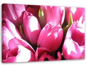 Obraz na plátně Kytice růžových tulipánů Rozměry: 60 x 40 cm