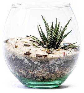 Skleněná váza boule, průměr 13 cm - osázené suchomilně