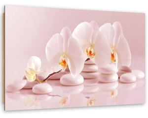 Gario Obraz Zenové orchideje v pudrově růžové barvě Velikost: 120 x 80 cm, Provedení: Panelový obraz