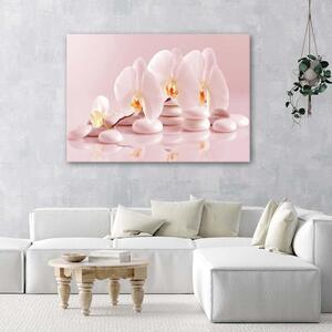 Obraz Zenové orchideje v pudrově růžové barvě Velikost: 120 x 80 cm, Provedení: Panelový obraz