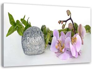 Obraz na plátně Orchideje u kamene s nápisem sen Rozměry: 60 x 40 cm