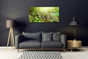 Obraz na skle Jezero Kameny Příroda 100x50 cm