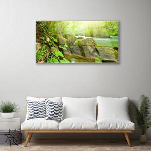 Obraz na skle Jezero Kameny Příroda 100x50 cm