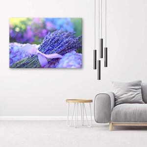 Obraz na plátně Levandulový květ Rozměry: 60 x 40 cm