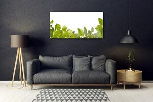 Obraz na skle Listy Příroda Rostlina 100x50 cm