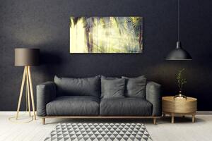 Obraz na skle Les Palmy Stromy Příroda 100x50 cm