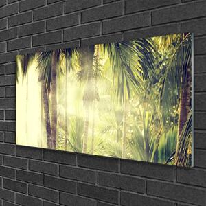 Obraz na skle Les Palmy Stromy Příroda 100x50 cm