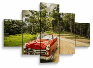 Obraz - auto veterán v přírodě (125x70 cm)