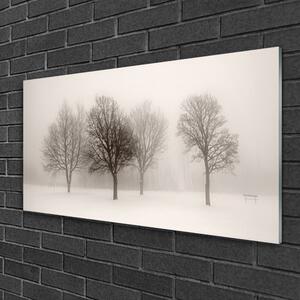 Obraz na skle Sníh Stromy Krajina 125x50 cm