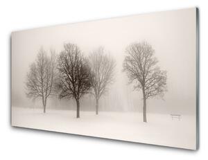 Obraz na skle Sníh Stromy Krajina 125x50 cm