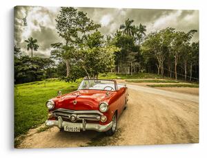 Obraz - auto veterán v přírodě (70x50 cm)
