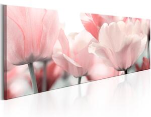 Obraz - Pink Tulips