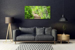 Akrylový obraz Schody Příroda 100x50 cm