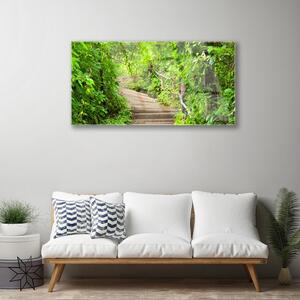 Akrylový obraz Schody Příroda 100x50 cm