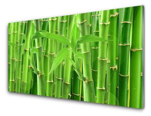 Kuchyňský skleněný panel Bambus Stonek Květ Rostlina 120x60 cm