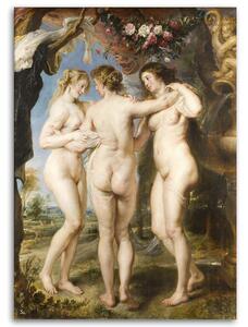 Obraz na plátně Tři milosti - Peter Paul Rubens reprodukce Rozměry: 40 x 60 cm