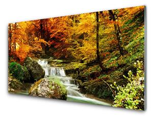 Kuchyňský skleněný panel Vodopád Les Příroda 100x50 cm