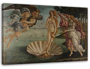 Obraz na plátně Zrození Venuše - Sandro Botticelli, reprodukce Rozměry: 60 x 40 cm